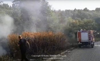 Në Bellobrad i hedhin ilegalisht mbeturinat pastaj i djegin! (Video)